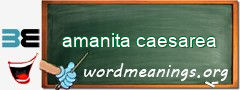 WordMeaning blackboard for amanita caesarea